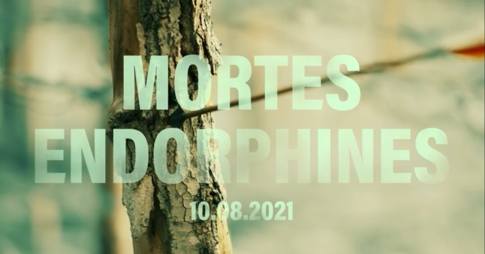 Primeur clip : Ombre! – « Mortes endorphines »