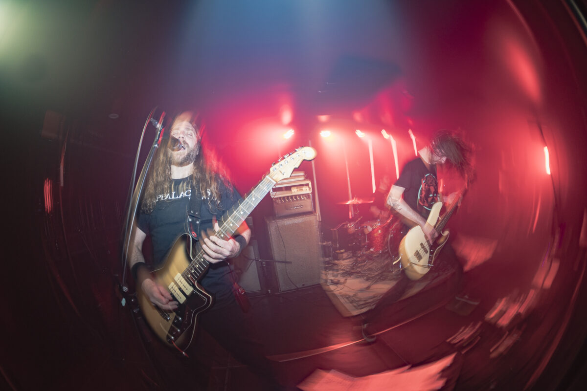 Phoque OFF 2026 : Une soirée où le cou travaille autant que les amplis avec Sandveiss et Fangus au Pantoum